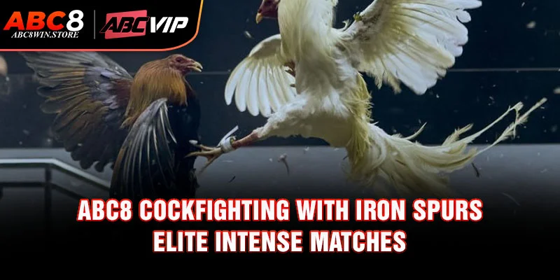 Tips for Abc8 Cockfighting with Iron Spurs