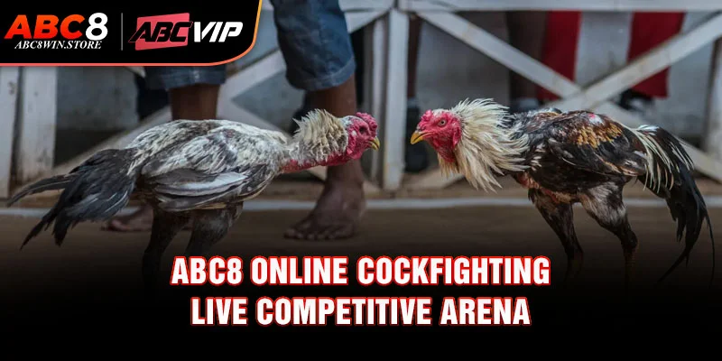 Abc8 Online Cockfighting – Live Competitive Arena Different Types of Online Cockfighting Matches