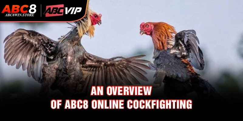 An Overview of Abc8 Online Cockfighting