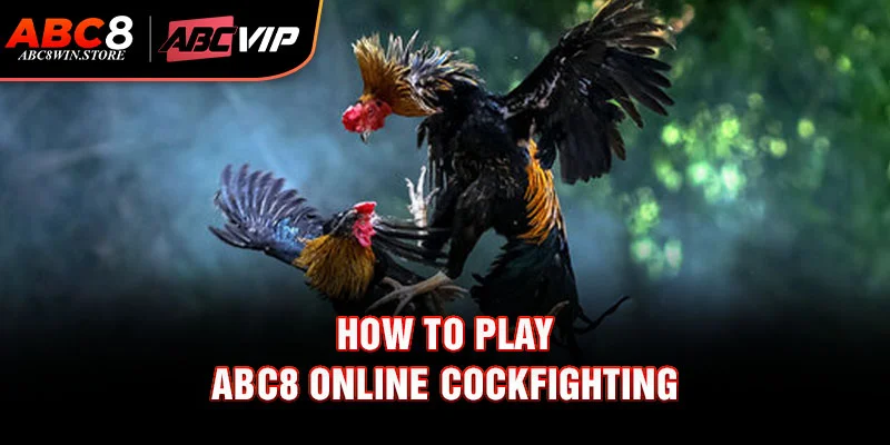 Abc8 Online Cockfighting – Live Competitive Arena How to Play Abc8 Online Cockfighting