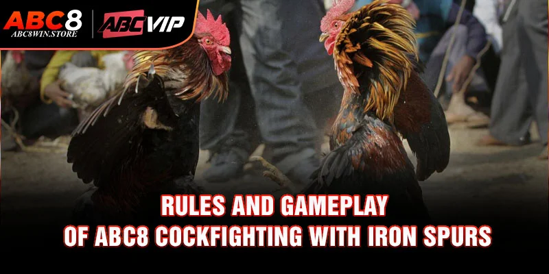Rules and Gameplay of Abc8 Cockfighting with Iron Spurs